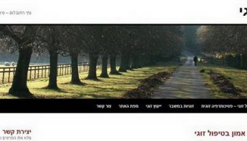 טיפול זוגי או גירושים